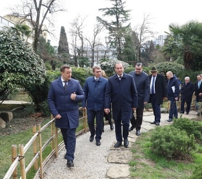При участии парламентариев Кубани в Сочи реконструирован «Сад русско-японской дружбы»